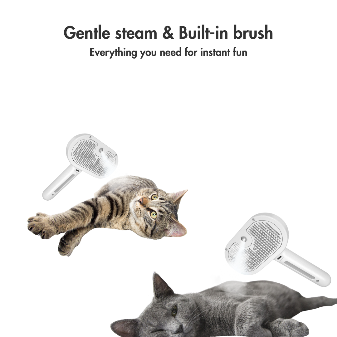 SteamiGlow – The Misty Brush That Turns Grooming into a Spa Day