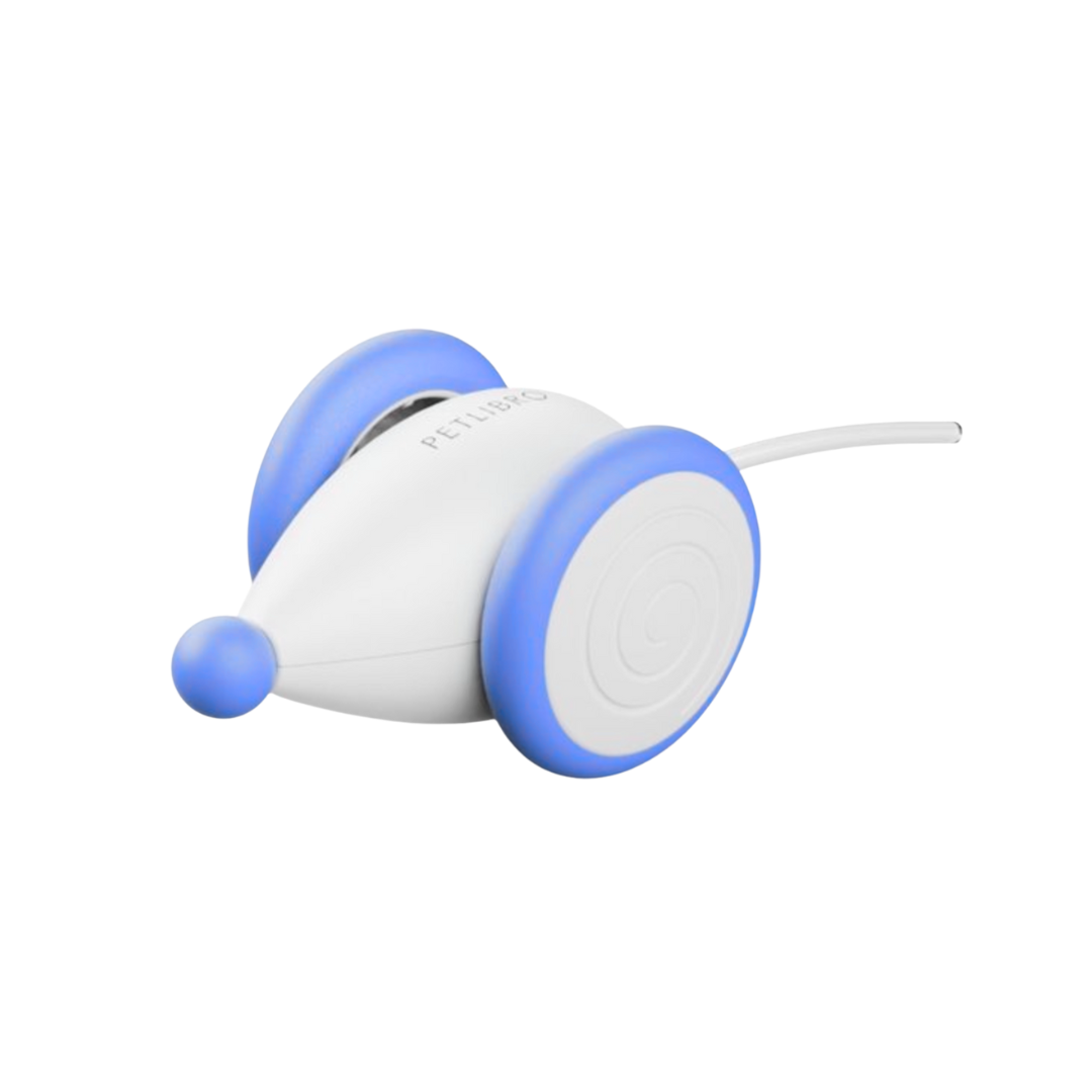 GlowTail – The Smart Mouse That Outsmarts Boredom