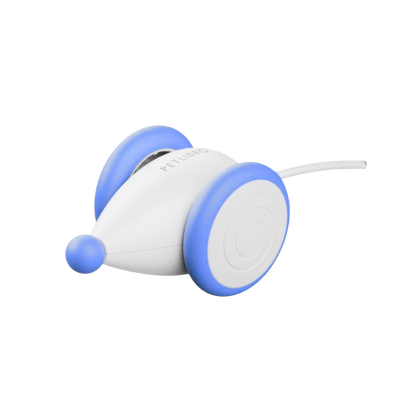 GlowTail – The Smart Mouse That Outsmarts Boredom