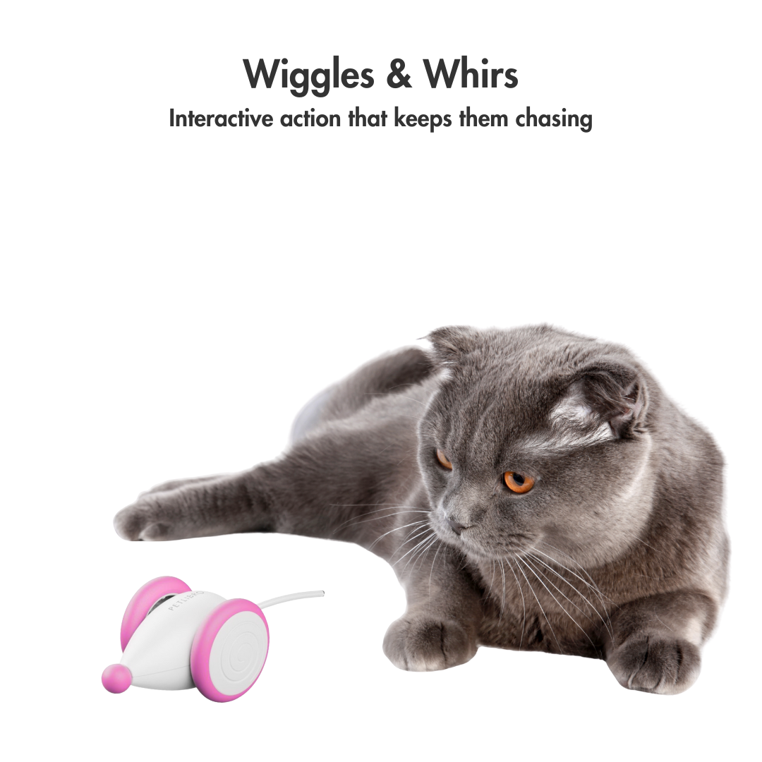 GlowTail – The Smart Mouse That Outsmarts Boredom
