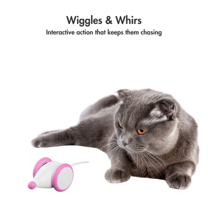 GlowTail – The Smart Mouse That Outsmarts Boredom