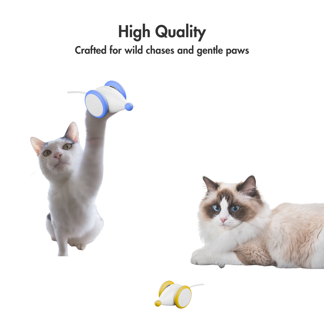 GlowTail – The Smart Mouse That Outsmarts Boredom