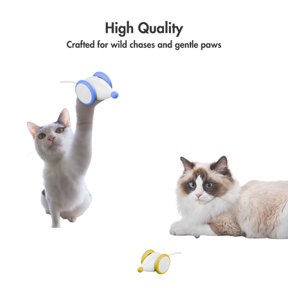 GlowTail – The Smart Mouse That Outsmarts Boredom
