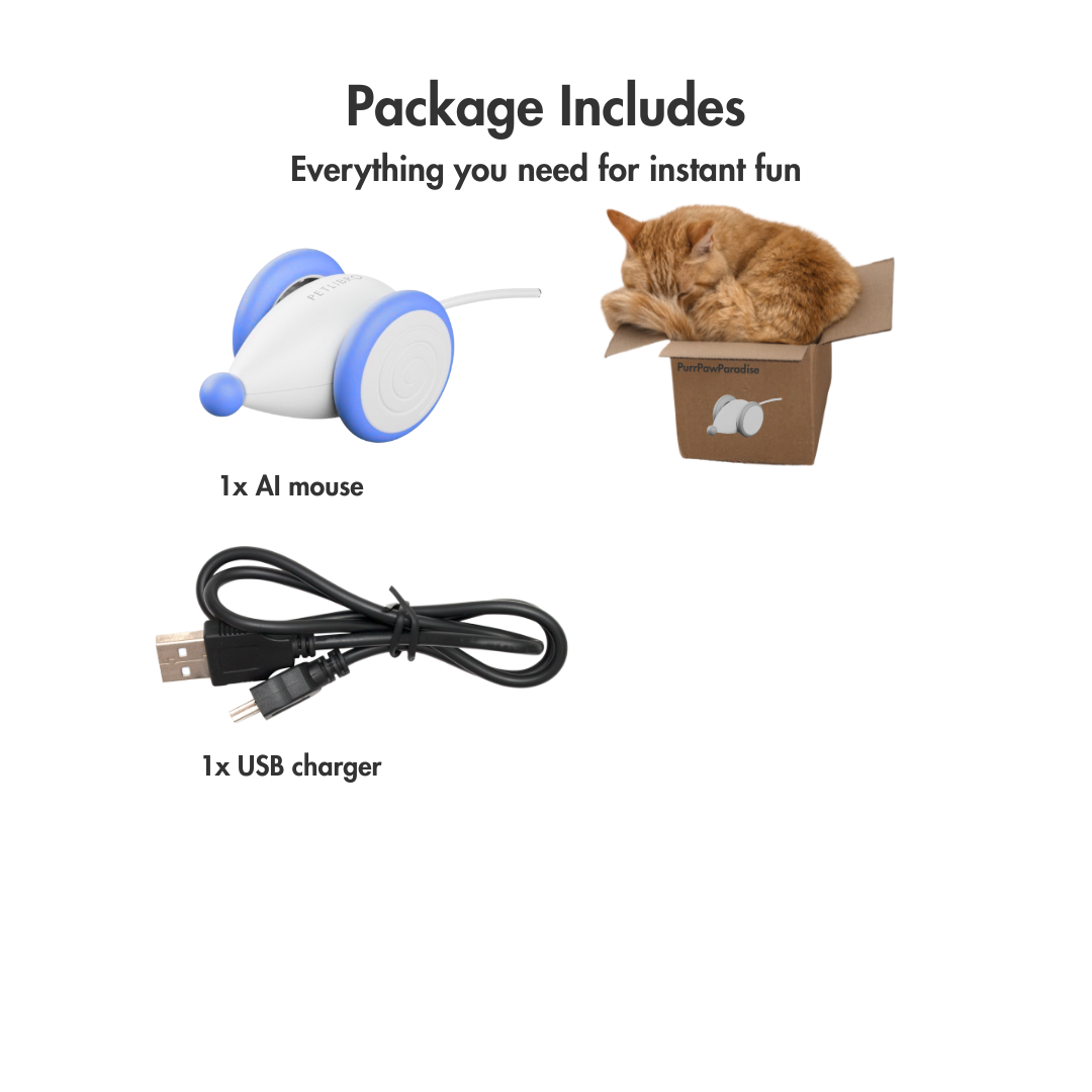 GlowTail – The Smart Mouse That Outsmarts Boredom