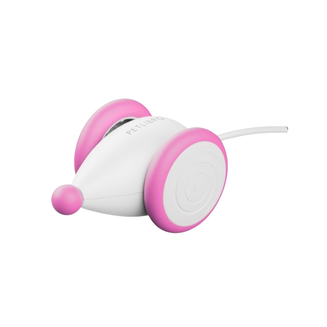 GlowTail – The Smart Mouse That Outsmarts Boredom