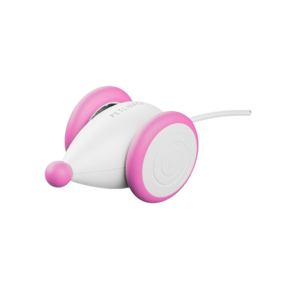 GlowTail – The Smart Mouse That Outsmarts Boredom