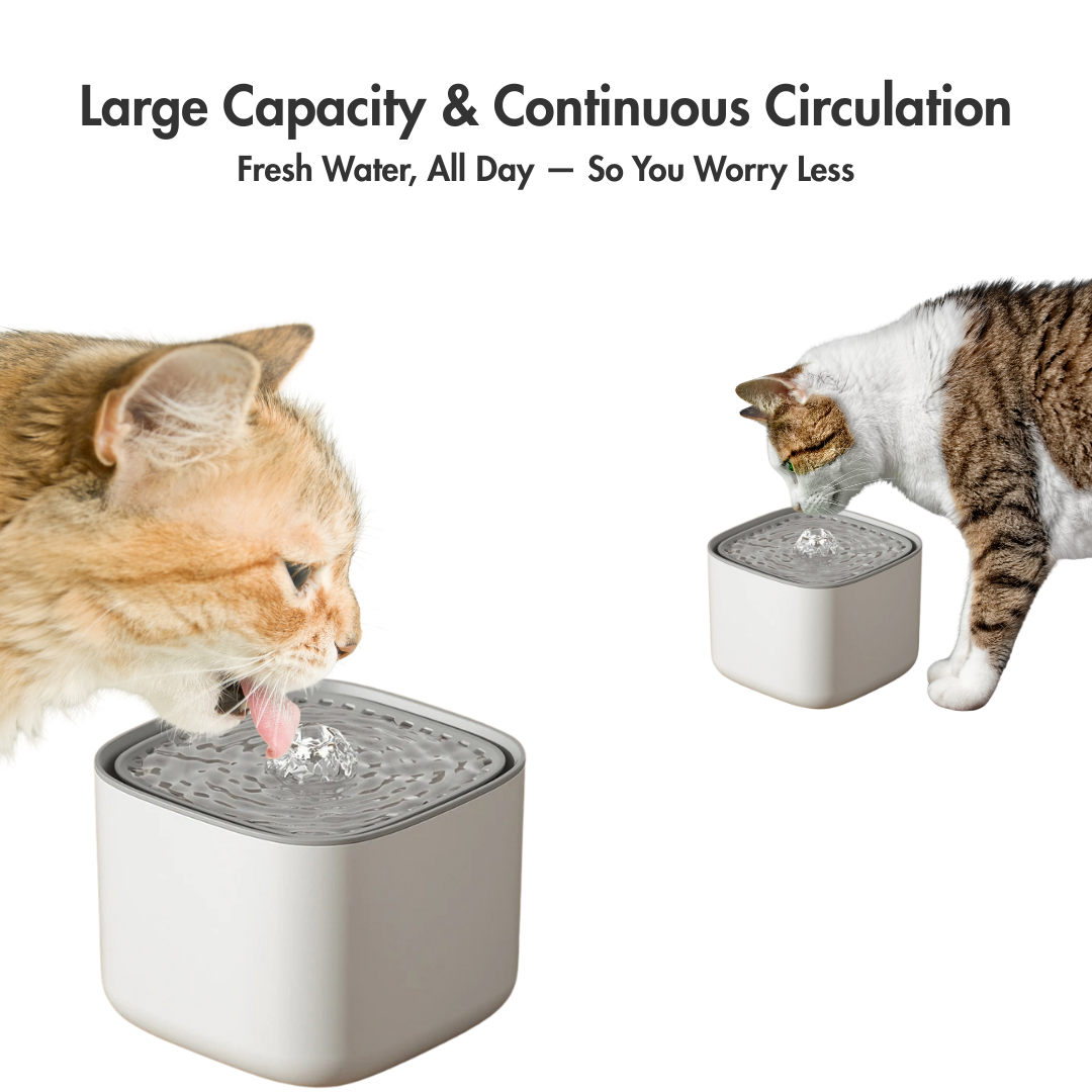 AquaFlow XL – The 2L Water Fountain That Keeps Cats Sipping