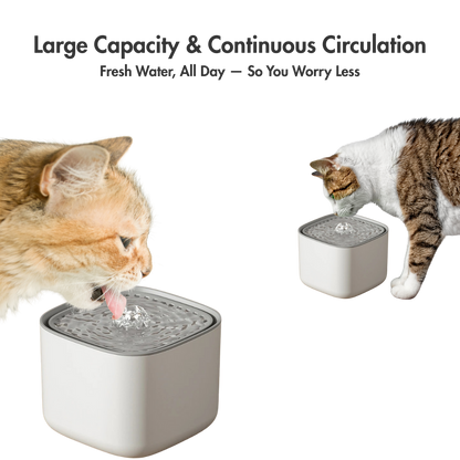 AquaFlow XL – The 2L Water Fountain That Keeps Cats Sipping