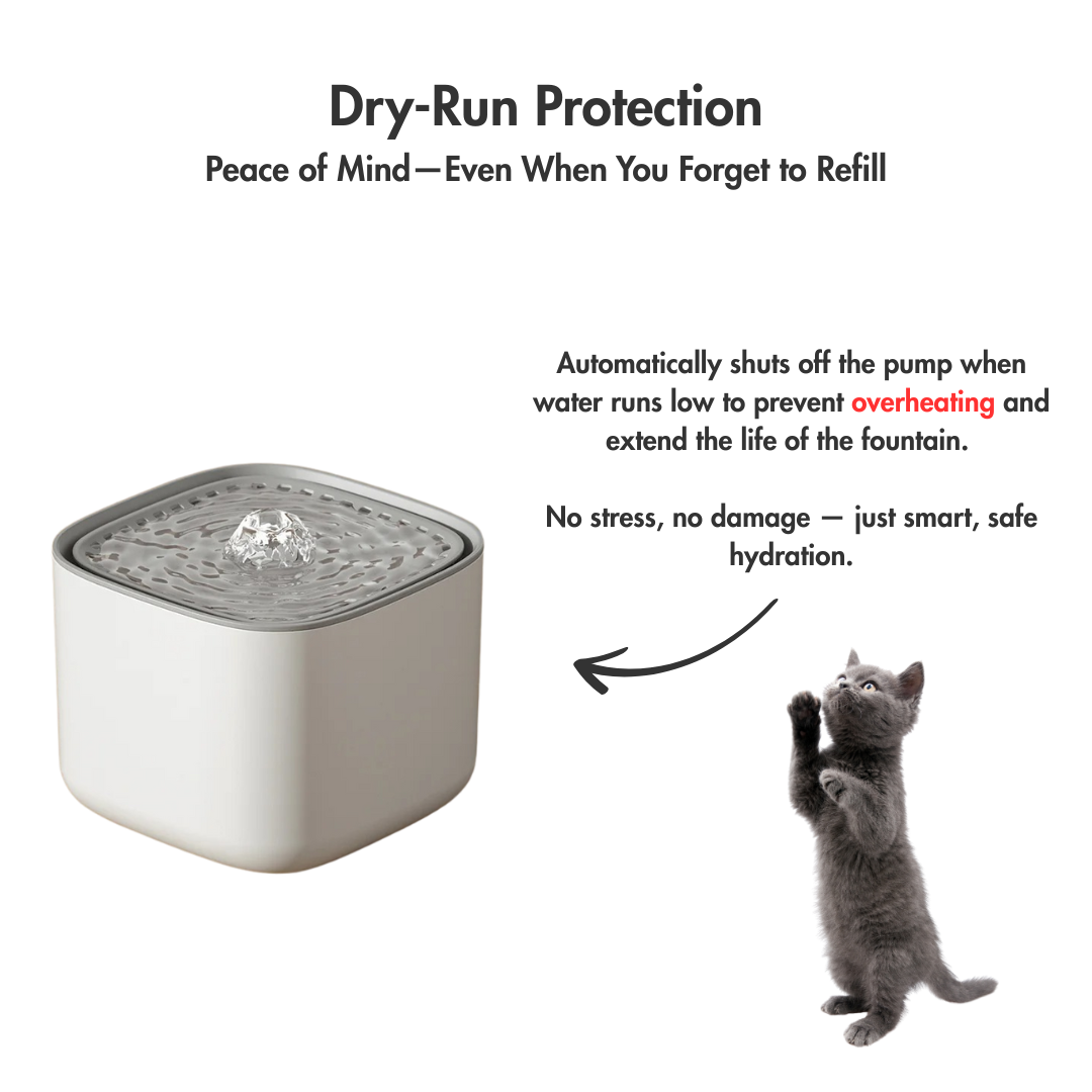 AquaFlow XL – The 2L Water Fountain That Keeps Cats Sipping