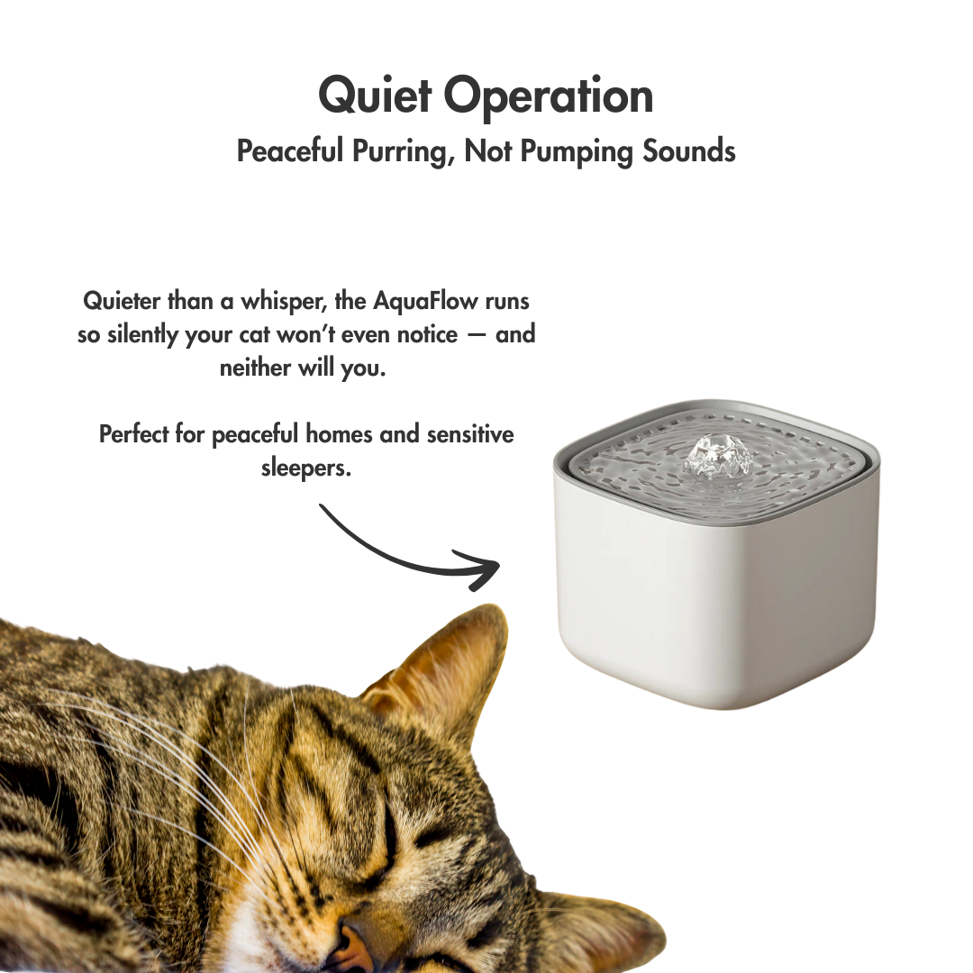 AquaFlow XL – The 2L Water Fountain That Keeps Cats Sipping