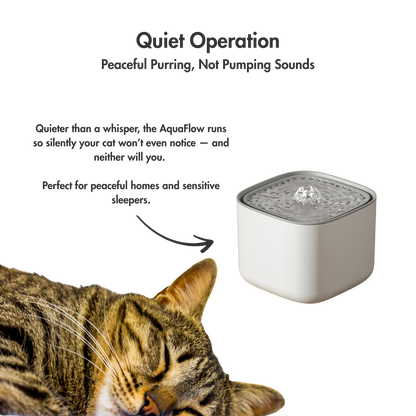 AquaFlow XL – The 2L Water Fountain That Keeps Cats Sipping