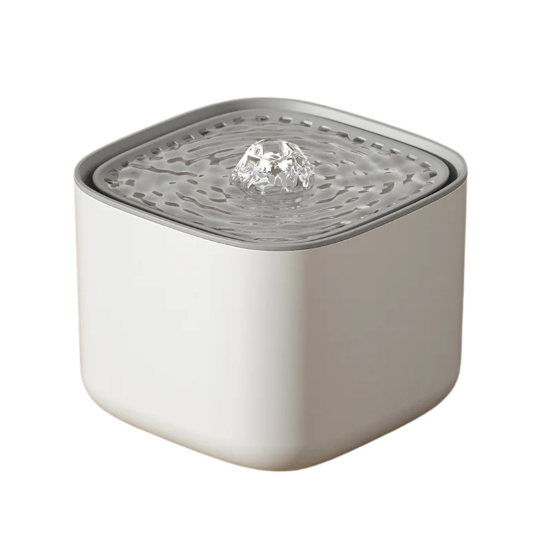 AquaFlow XL – The 2L Water Fountain That Keeps Cats Sipping