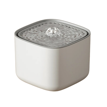 AquaFlow XL – The 2L Water Fountain That Keeps Cats Sipping