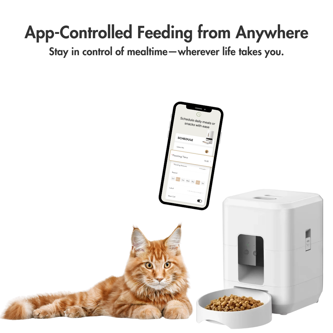 SmartPortion WiFi Feeder – Precision Feeding, Anytime, Anywhere