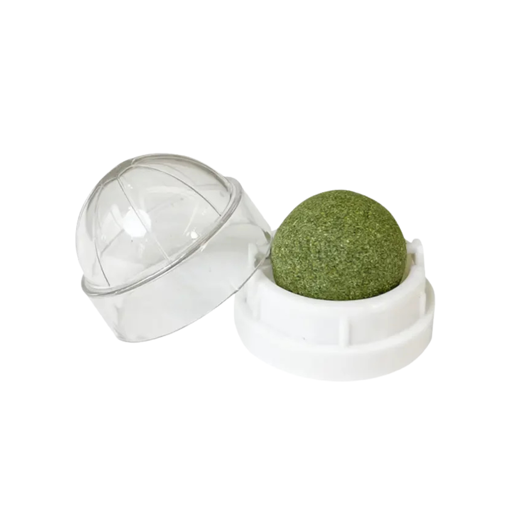 NibbleNudge – The Wall-Mounted Wellness Ball