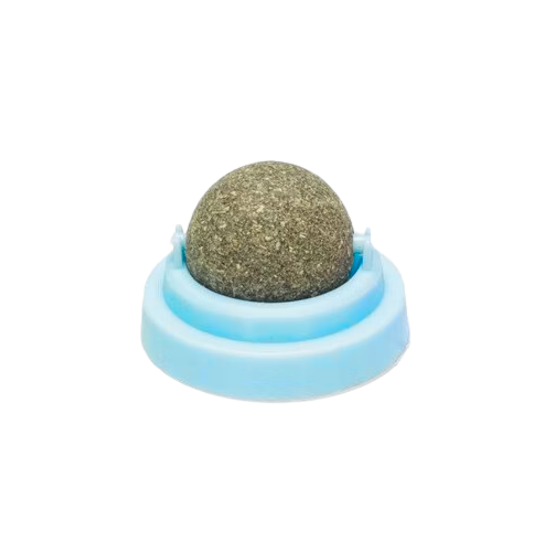 NibbleNudge – The Wall-Mounted Wellness Ball
