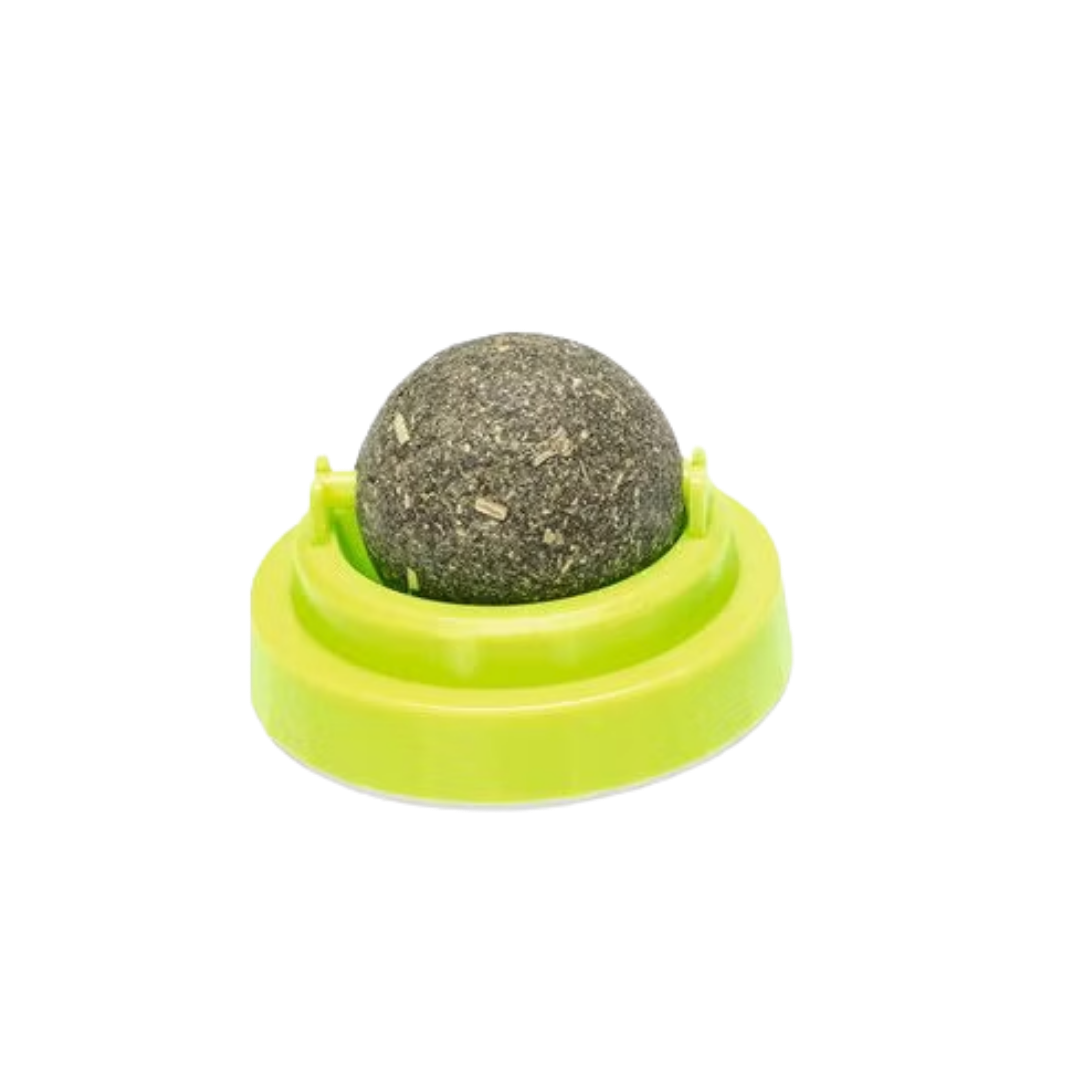 NibbleNudge – The Wall-Mounted Wellness Ball