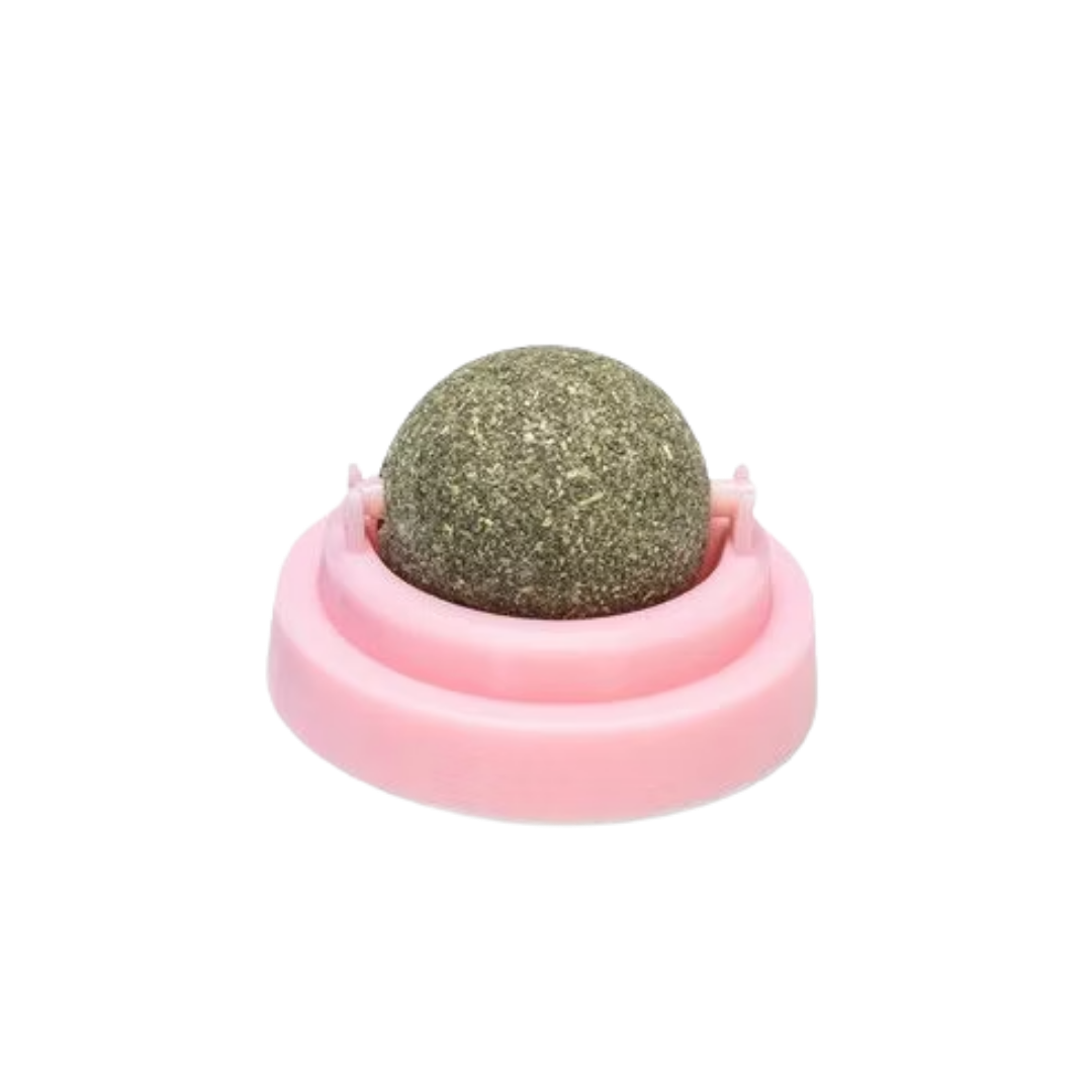 NibbleNudge – The Wall-Mounted Wellness Ball