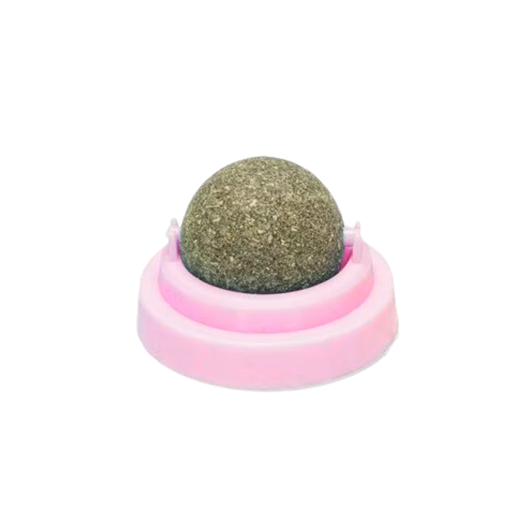 NibbleNudge – The Wall-Mounted Wellness Ball