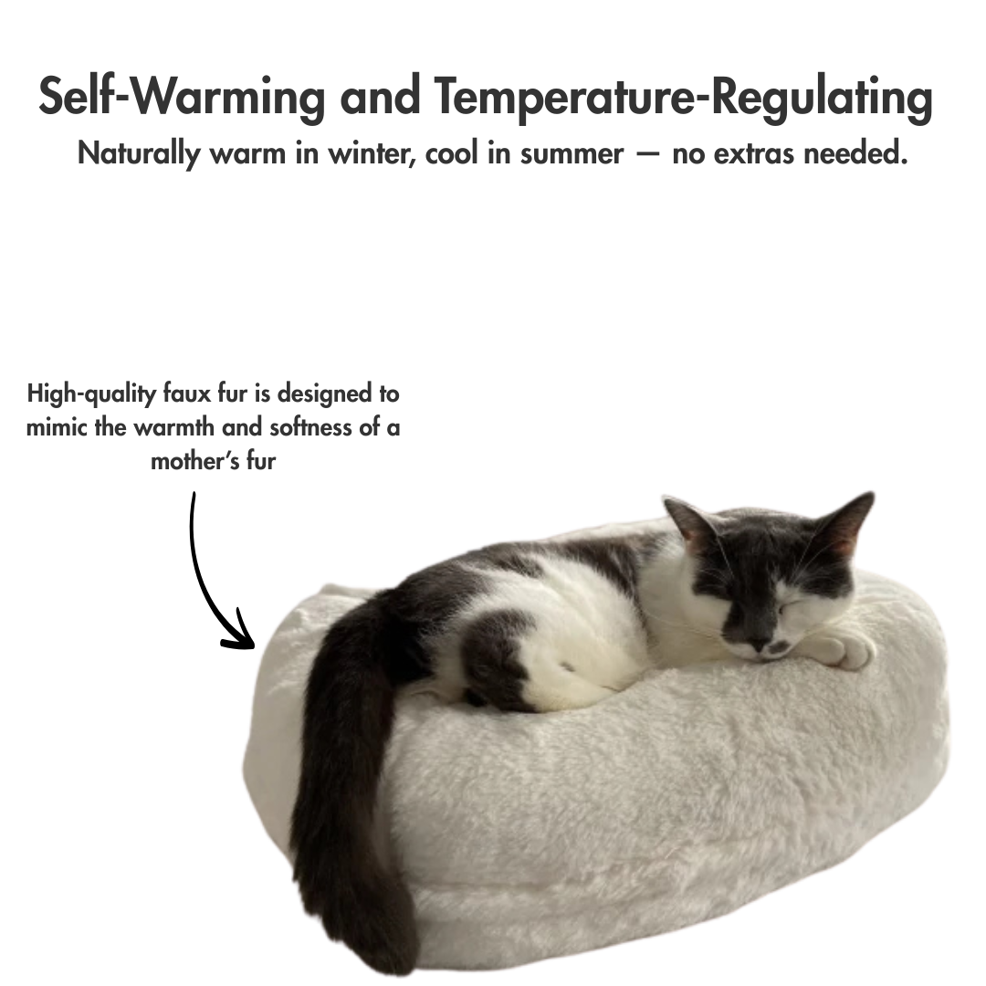 CloudNest Calming Bed – Fluffy Comfort for Deep, Peaceful Sleep