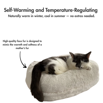 CloudNest Calming Bed – Fluffy Comfort for Deep, Peaceful Sleep