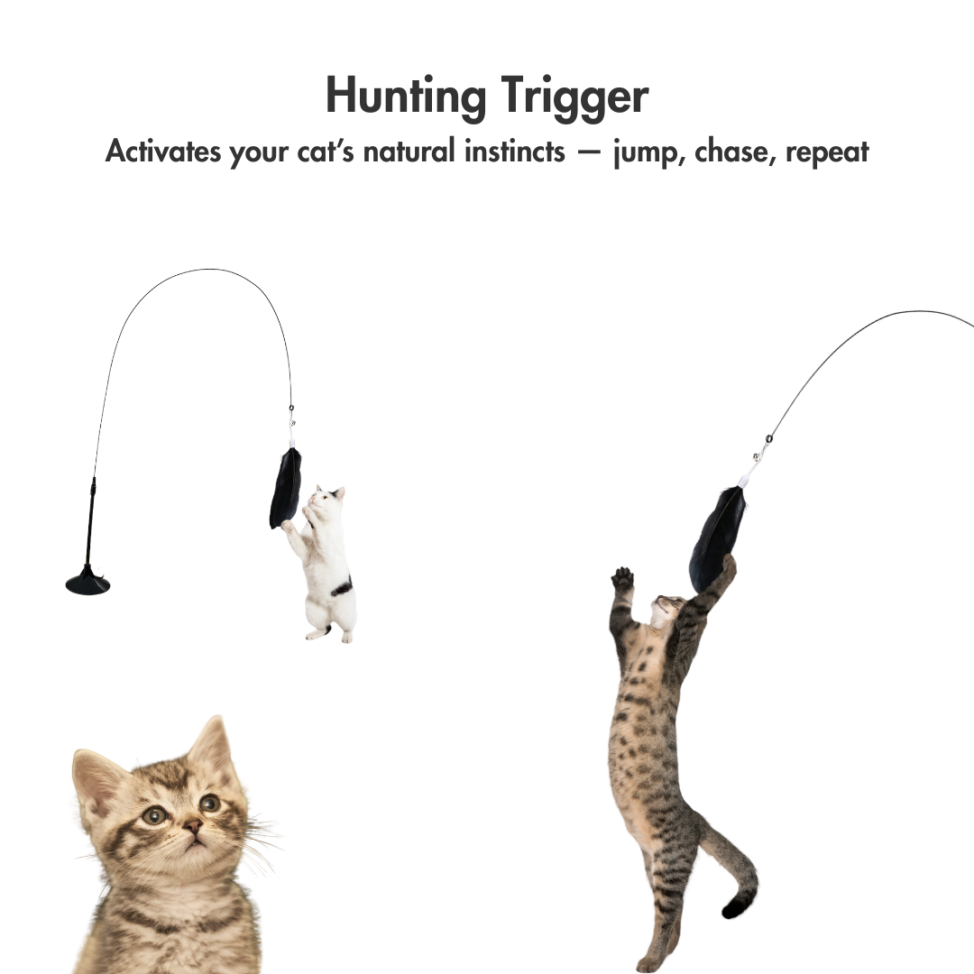 Wild Feather Hunter – The Toy That Fights Back