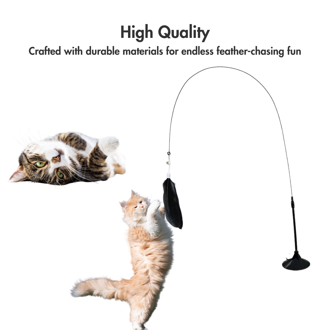 Wild Feather Hunter – The Toy That Fights Back