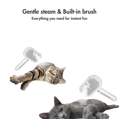 SteamiGlow – The Misty Brush That Turns Grooming into a Spa Day