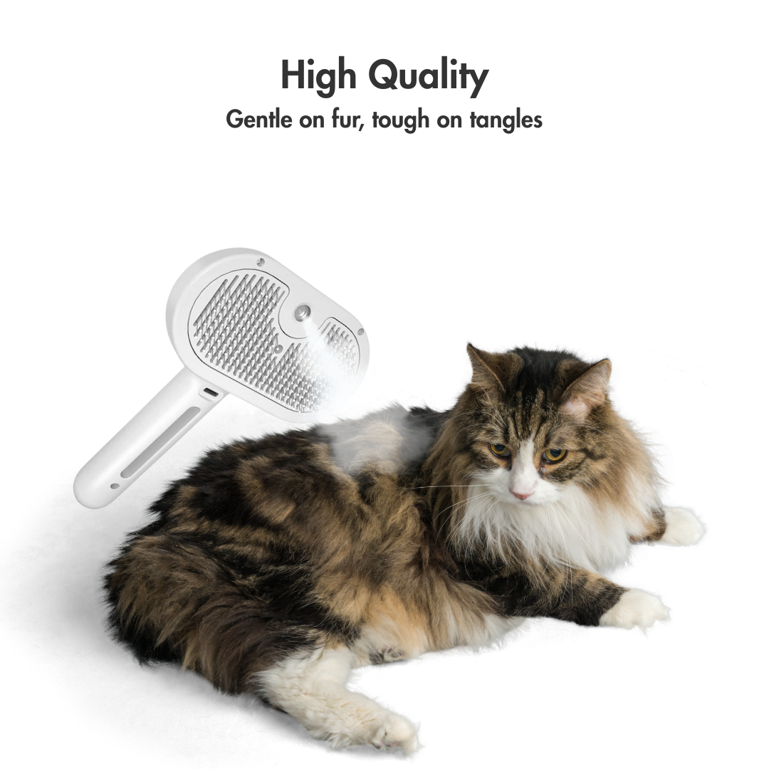 SteamiGlow – The Misty Brush That Turns Grooming into a Spa Day