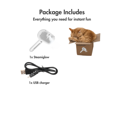 SteamiGlow – The Misty Brush That Turns Grooming into a Spa Day