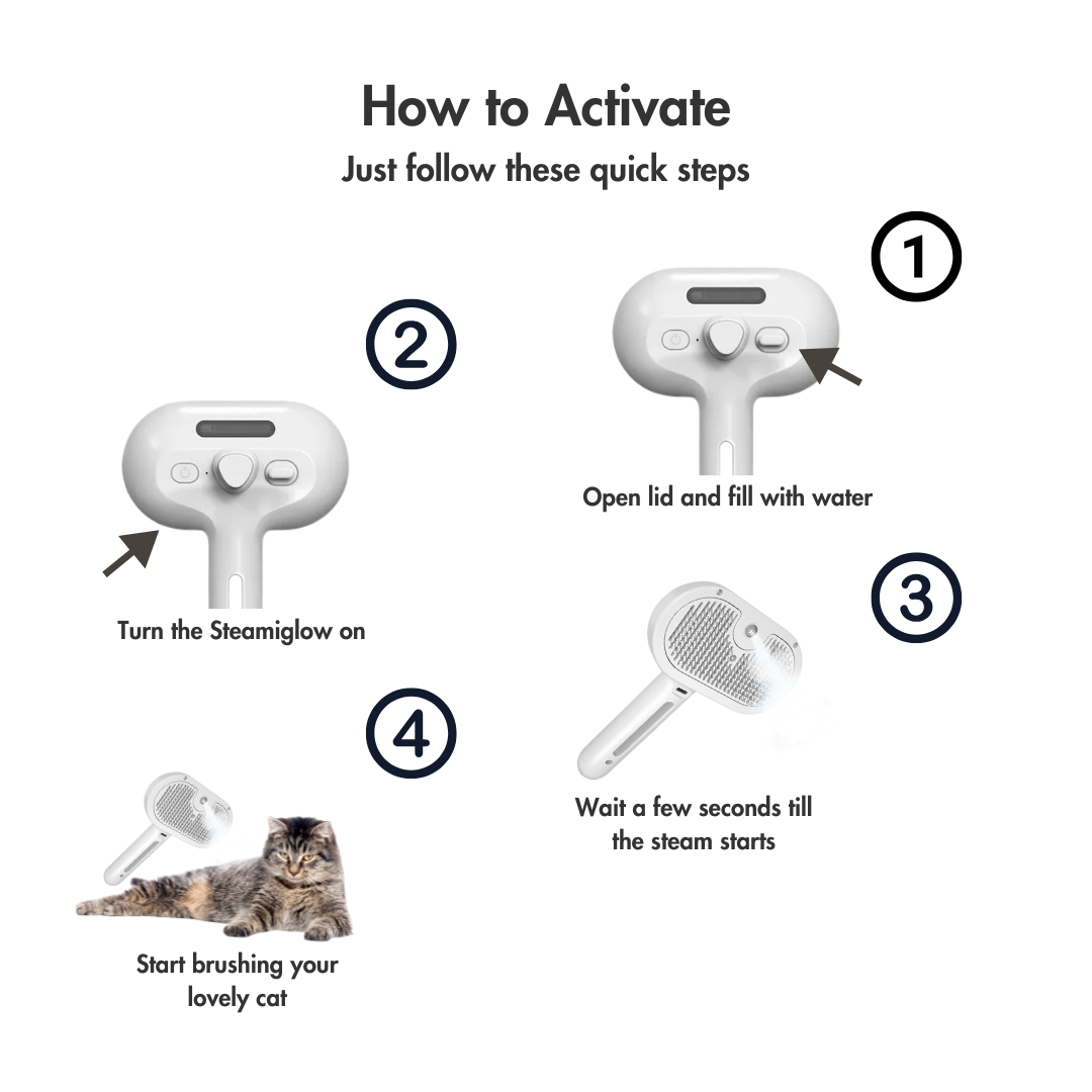 SteamiGlow – The Misty Brush That Turns Grooming into a Spa Day