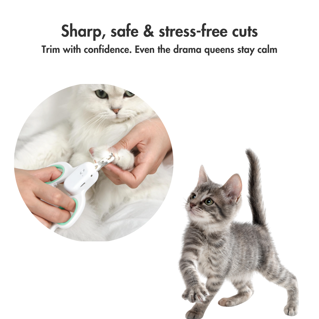 GlowTrim – The Smart Clipper with Built-In Peace of Mind