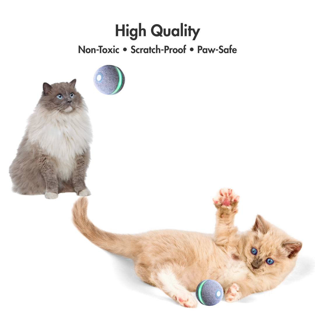 WhirlBall – The Toy Your Cat Can’t Ignore