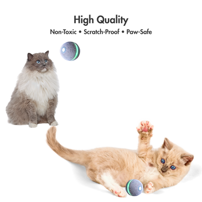 WhirlBall – The Toy Your Cat Can’t Ignore