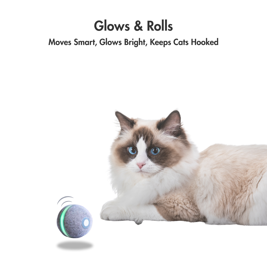 WhirlBall – The Toy Your Cat Can’t Ignore
