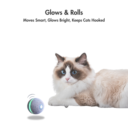 WhirlBall – The Toy Your Cat Can’t Ignore