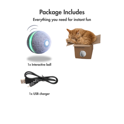 WhirlBall – The Toy Your Cat Can’t Ignore